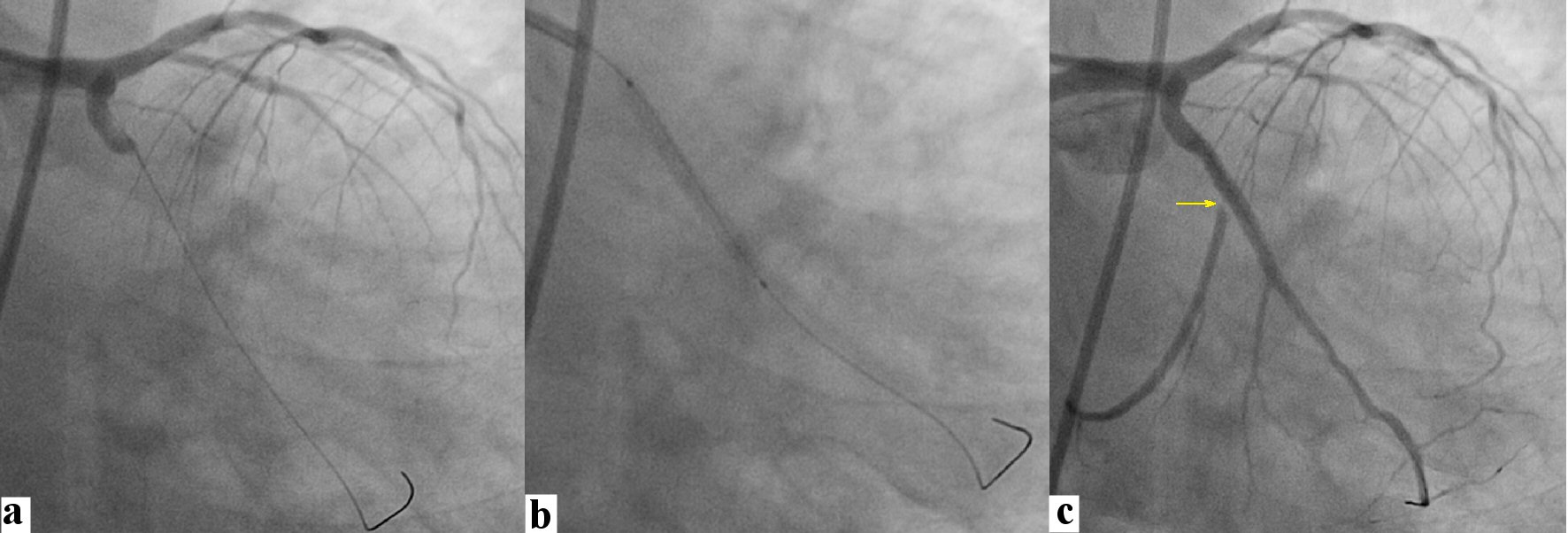 Figure 3. 