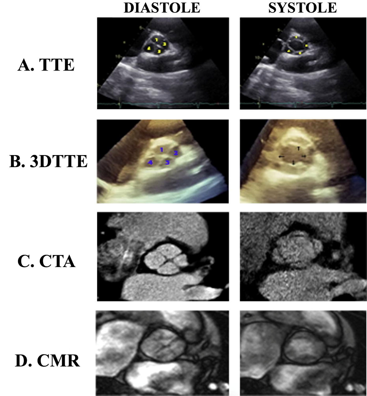 Figure 3. 