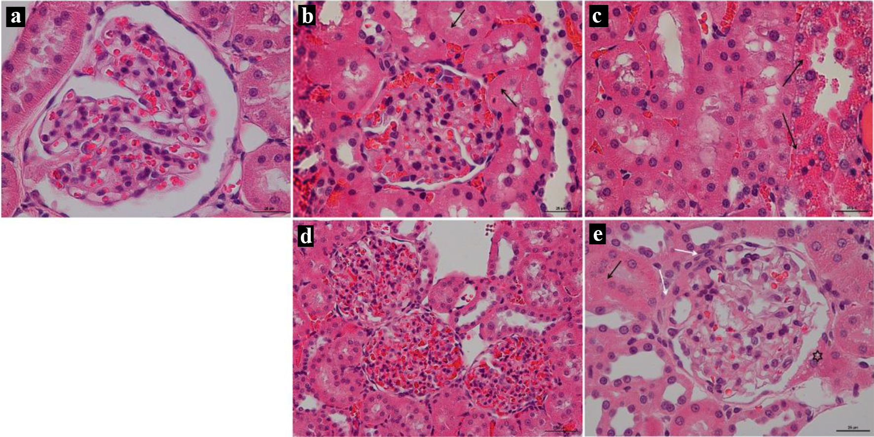 Figure 10. 