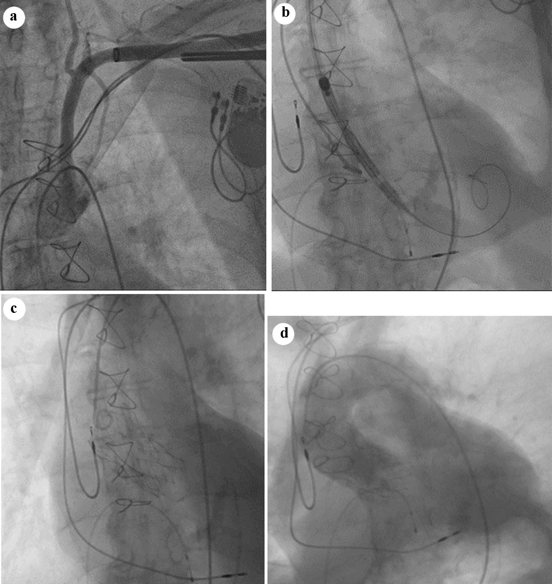 Figure 3. 