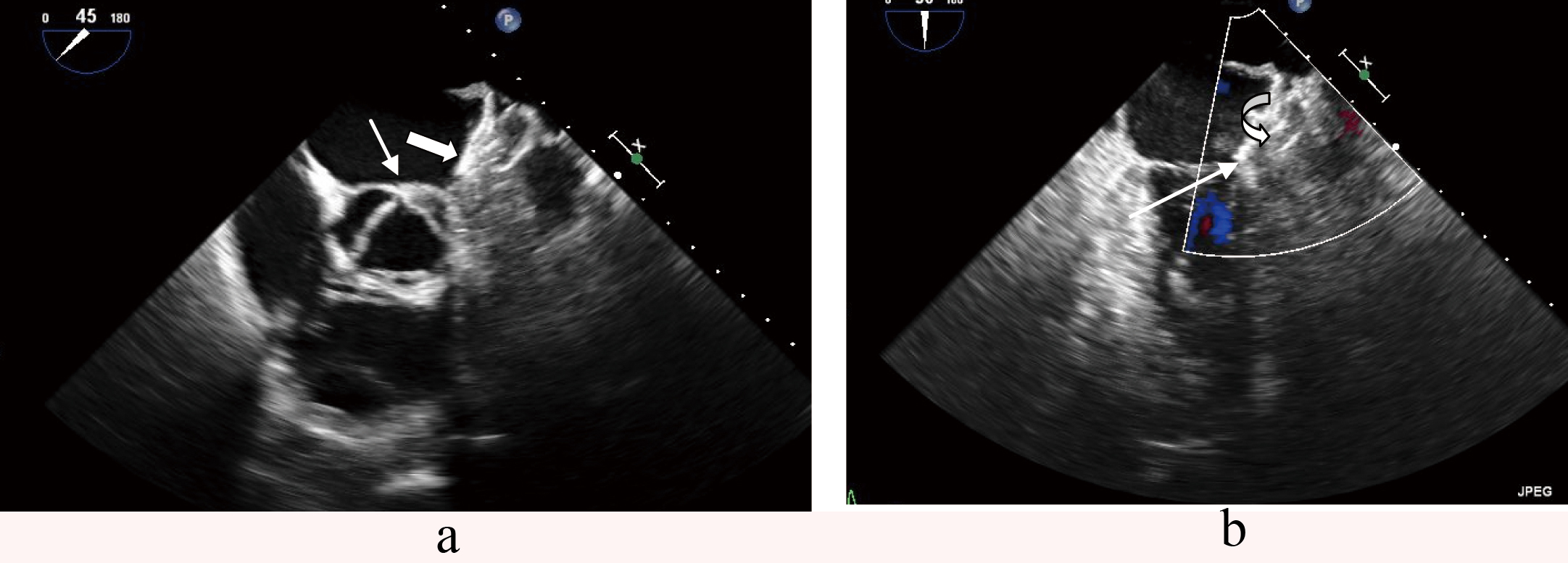 Figure 7. 