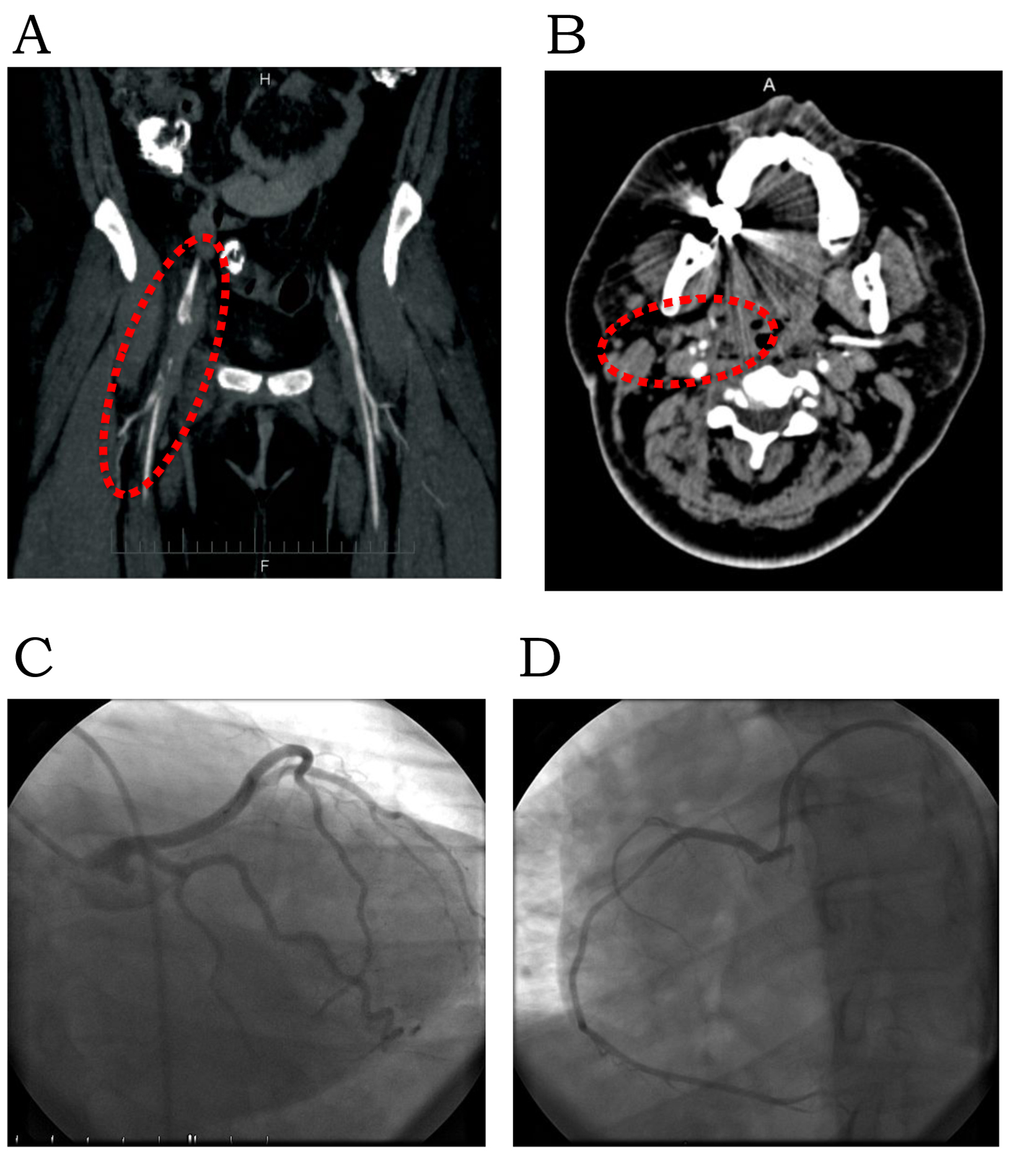 Figure 3. 