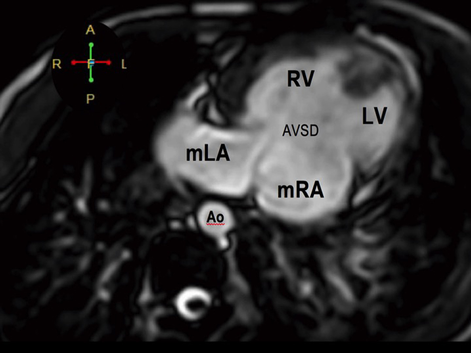 Figure 5. 