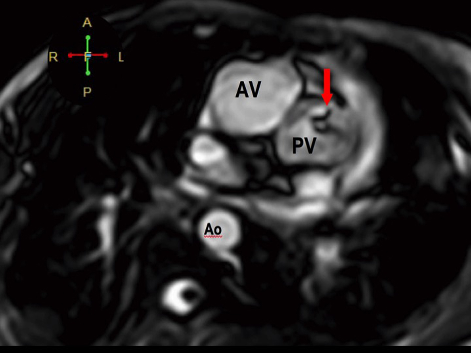 Figure 7. 