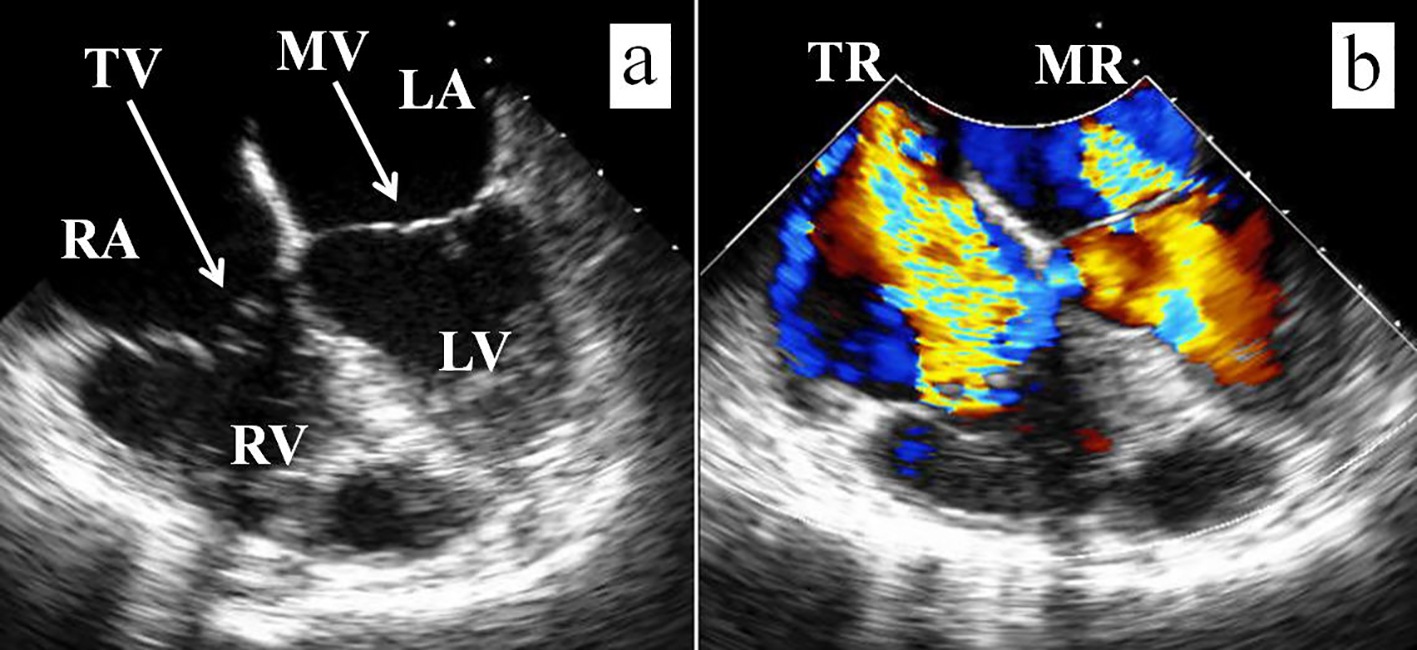 Figure 3. 