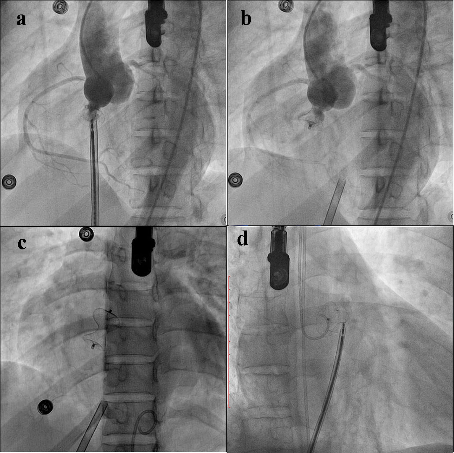 Figure 6. 