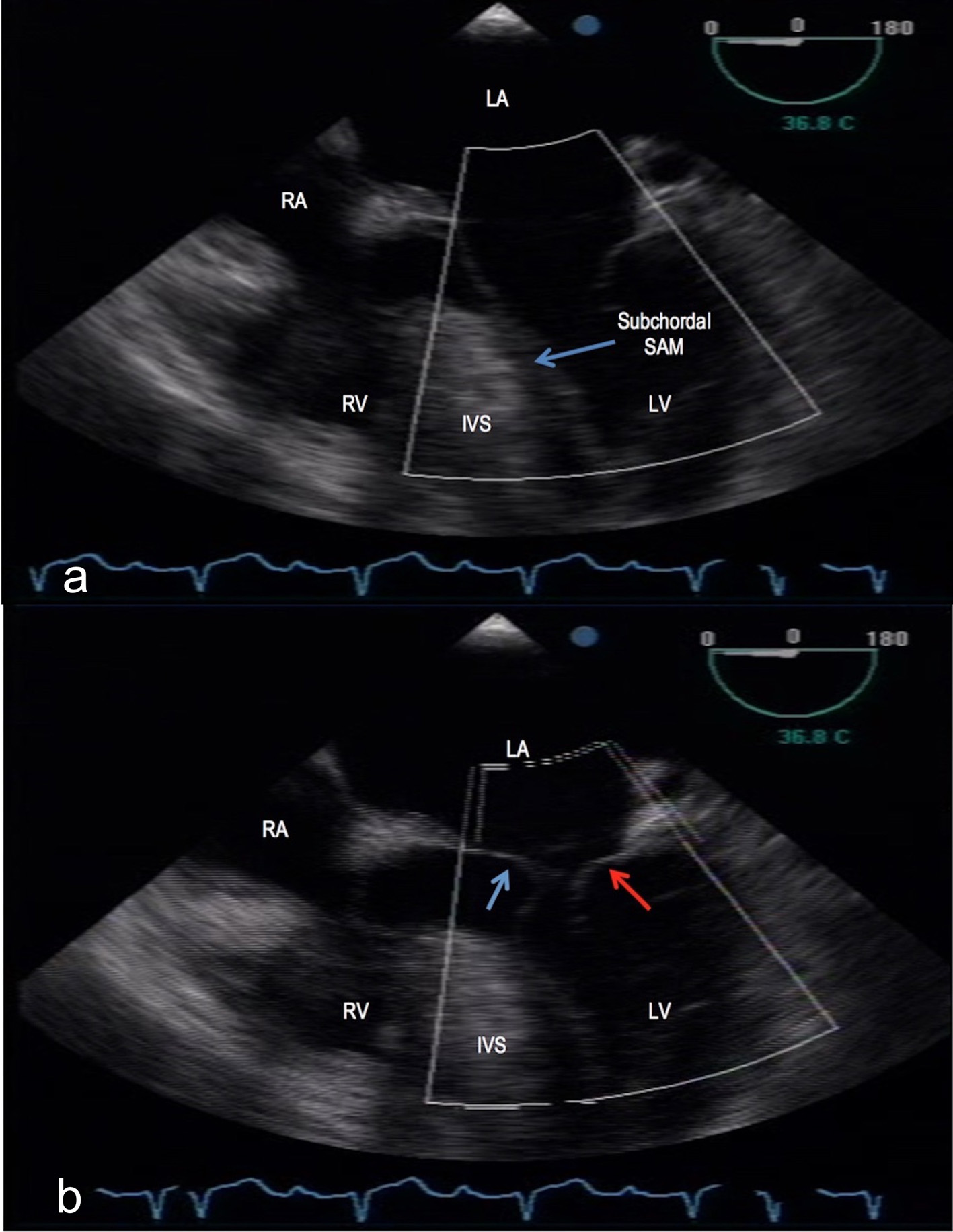 Figure 5. 