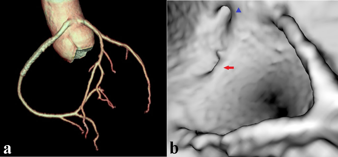 Figure 6. 