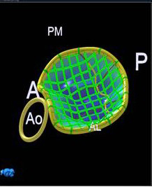 Figure 3. 