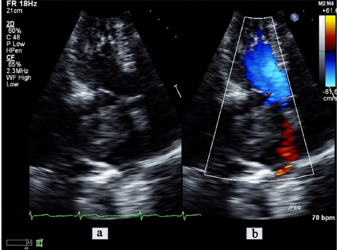 Figure 3. 