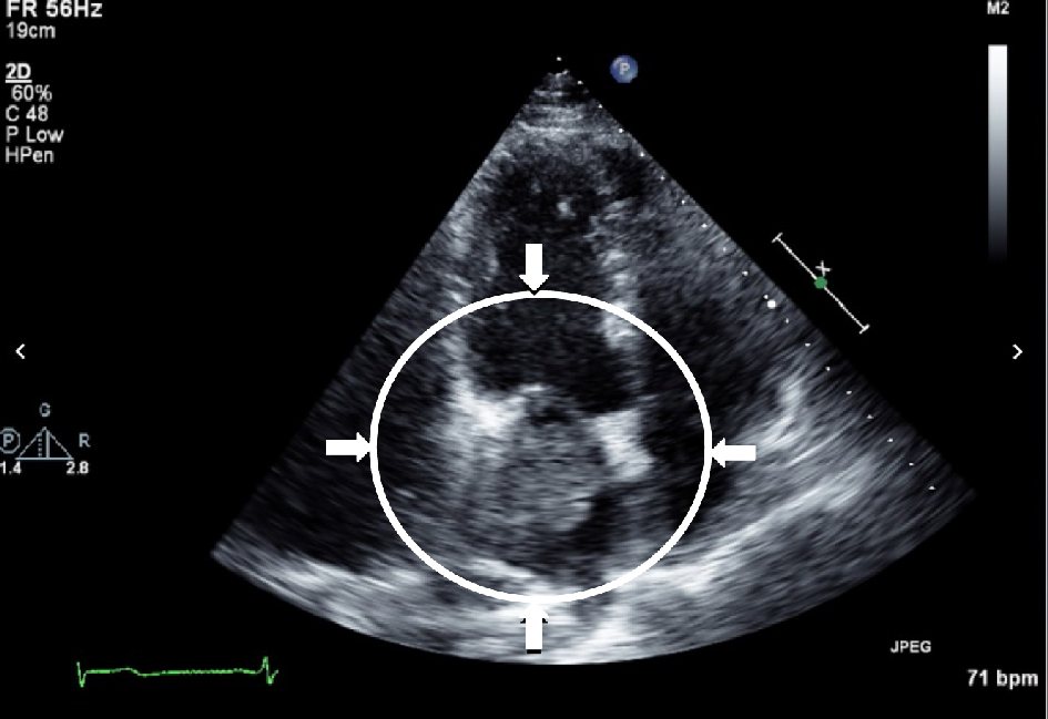 Figure 4. 