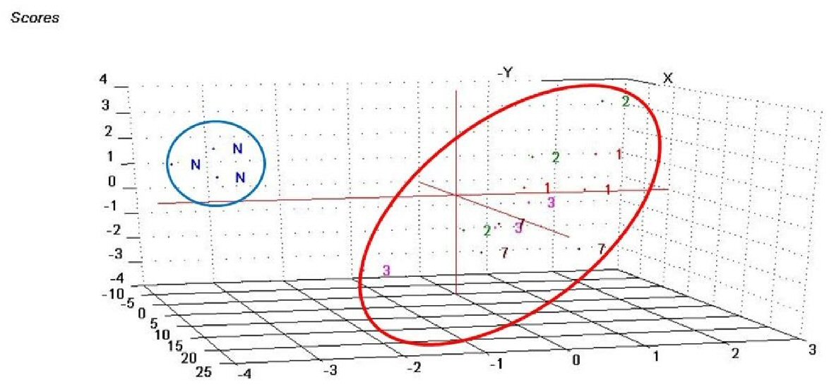 Figure 7. 