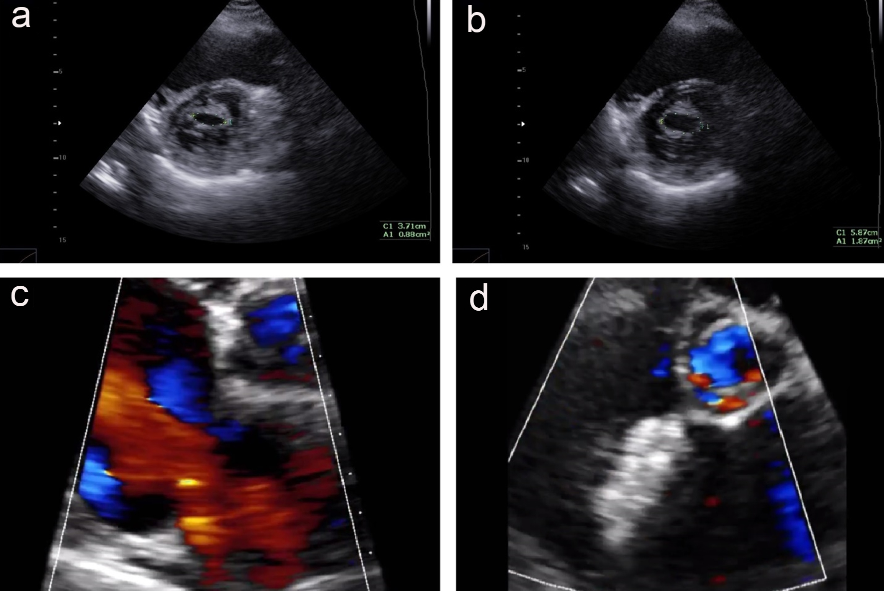 Figure 3. 