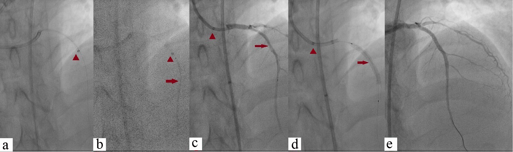 Figure 5. 